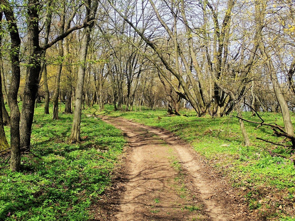 A Vértes legszebb vonulata