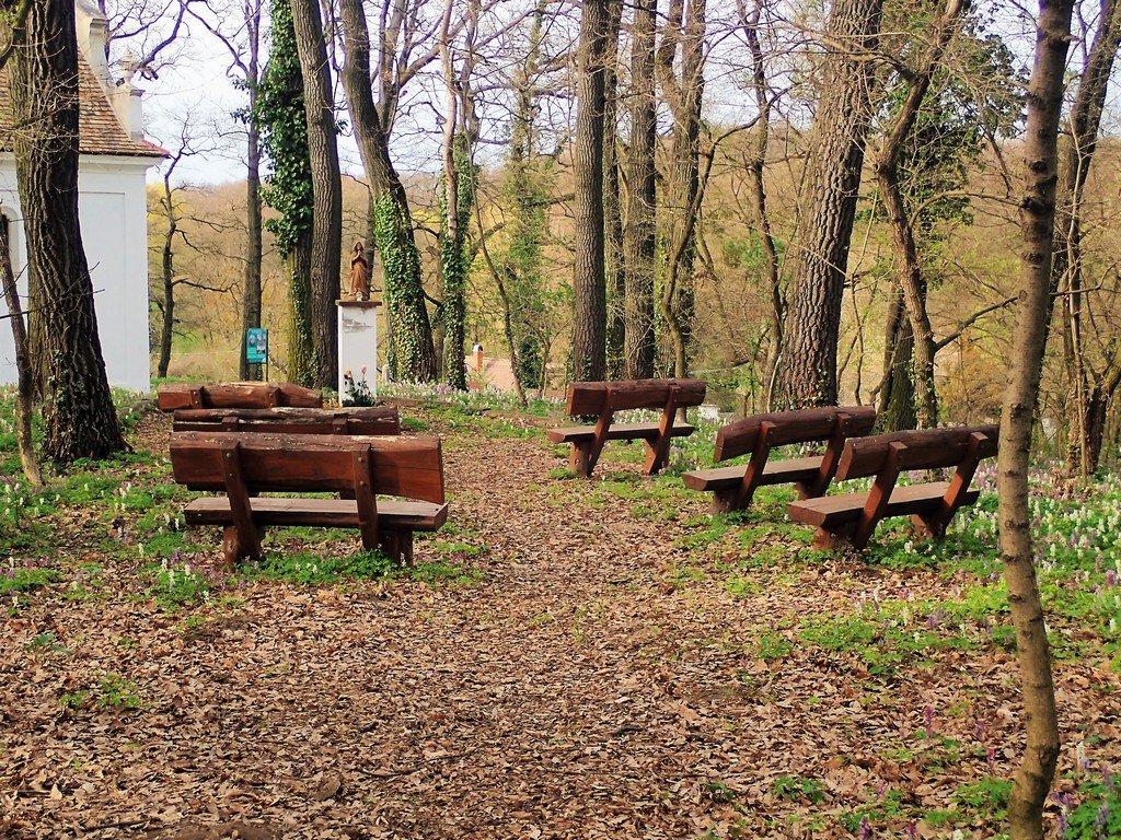 A Majkpusztai Kamalduli Remeteség ősfás parkja