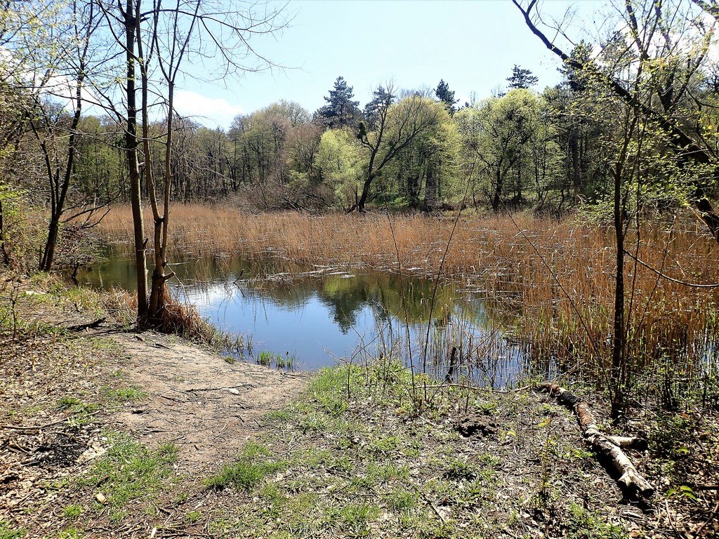 Csuka-tó