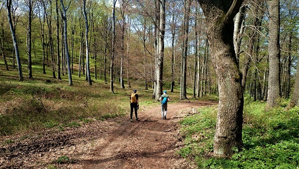 Vadászkápolna és mézeskalács falu: Csákvártól Vérteskozmáig