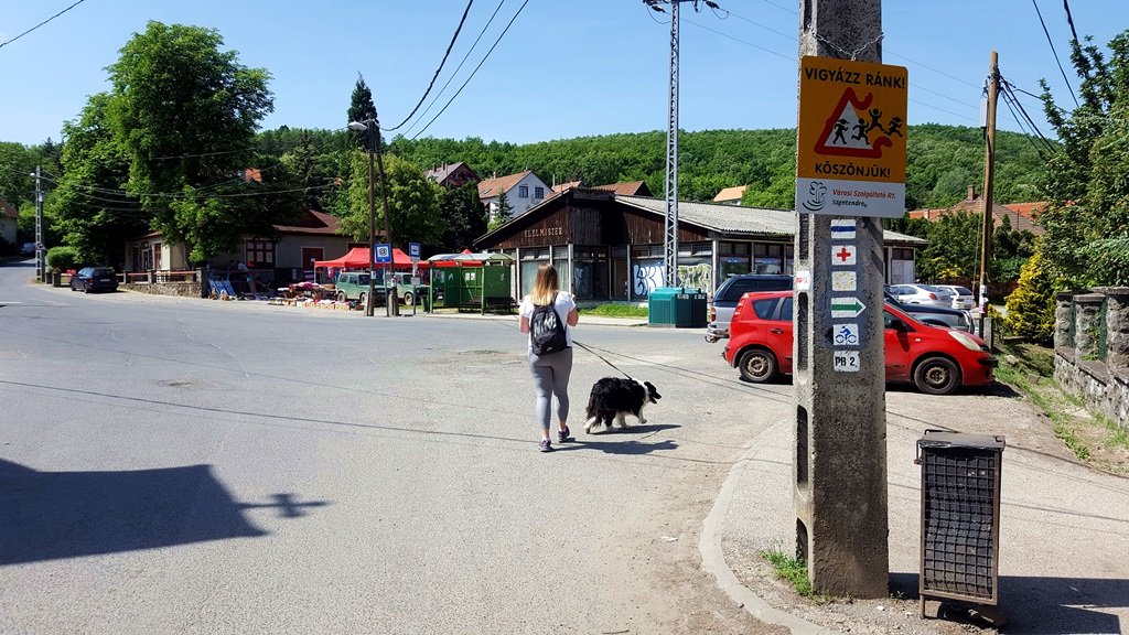 Indulás Pilisszentlászló központjából a zöld jelzésen