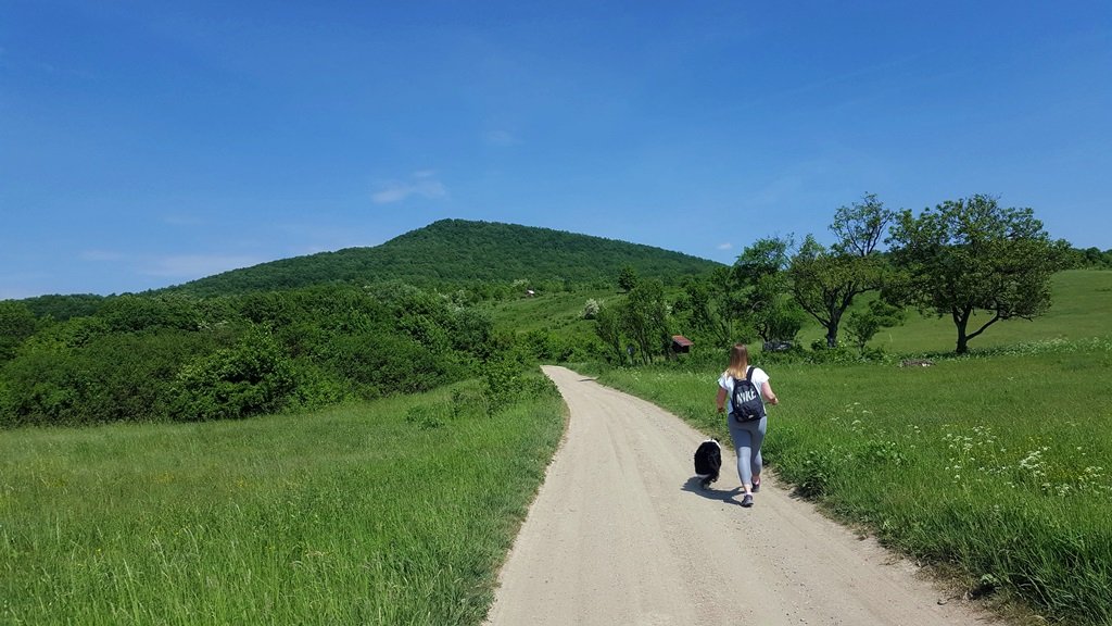 Továbbra is követjük a zöld csík jelzést Forrás: Mozgásvilág.hu