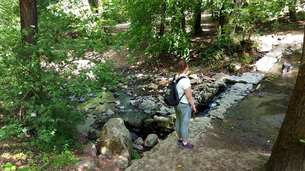 Hamarosan kiérünk az Apát-kúti-patak, Bertényi Miklós Füvészkerthez