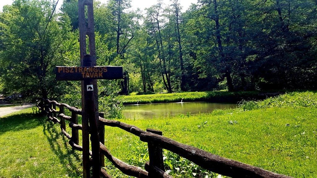 Kis pihenő után a Pisztrángos tavak felé vesszük az irányt