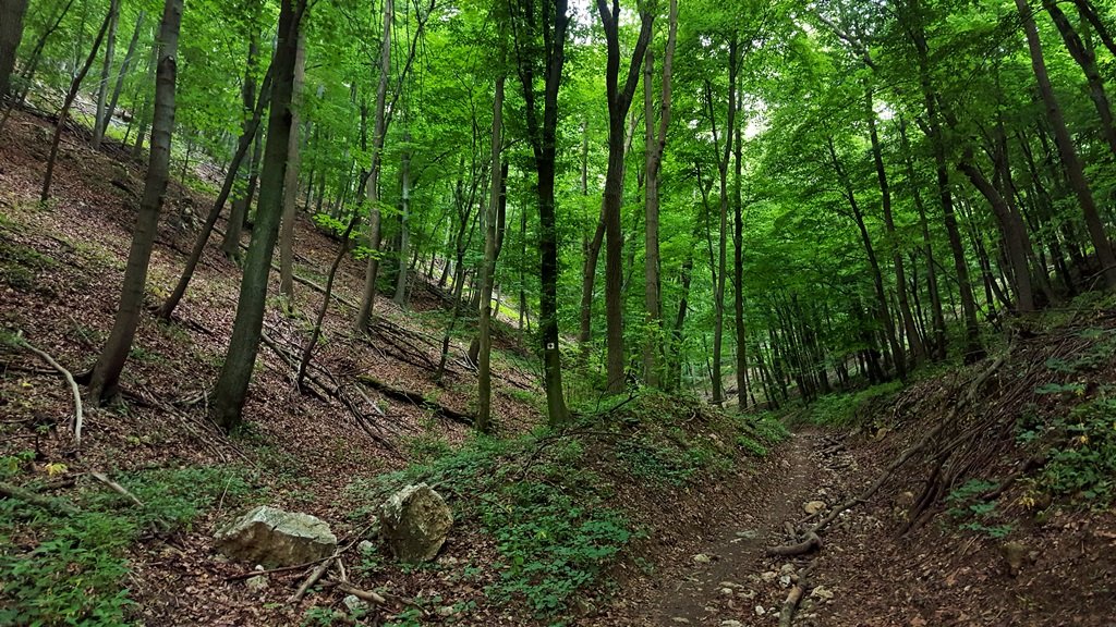 A piros kereszt a gyönyörű, meredek falú, vadregényes Vaskapu-völgybe vezet minket, Forrás: Mozgásvilág.hu