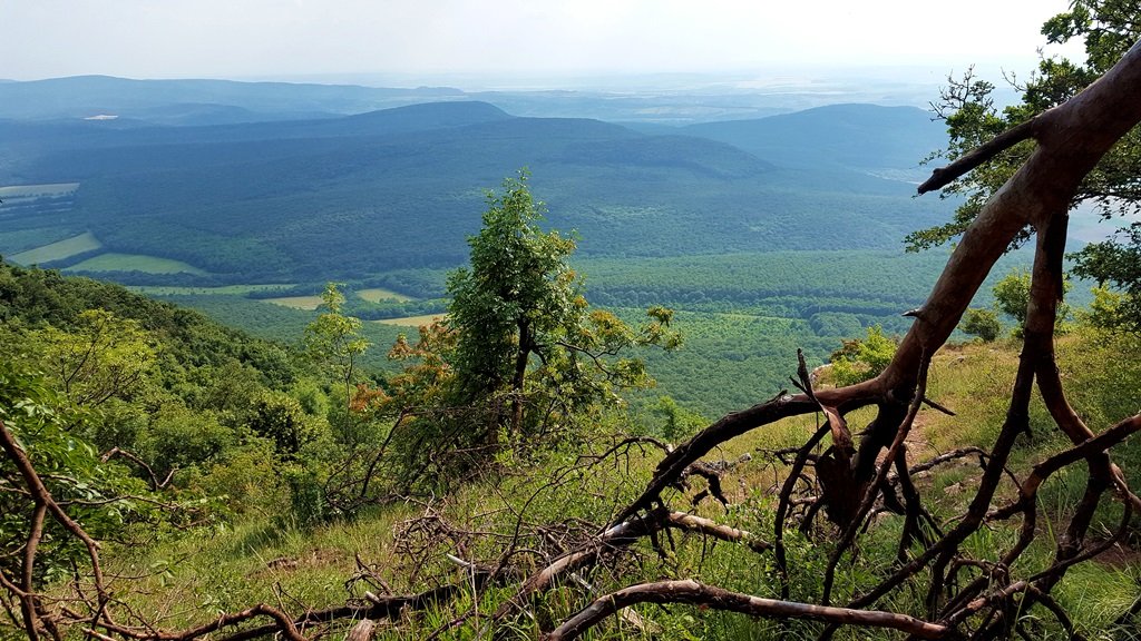 A kilátópontról csodás panoráma tárul elénk a völgyre és a távolban Piliscsévre