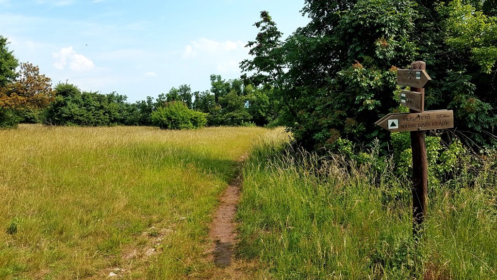 A kilátópont után nemsokkal elérjük a mezőt, ahol a táblánál balra fordulunk, a kilátó felé