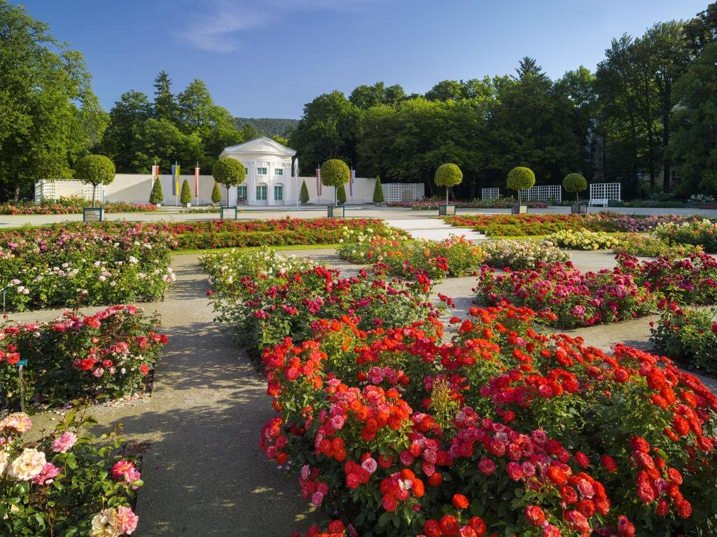 Túra kertbarátoknak Forrás: © Wienerwald Tourismus GmbH