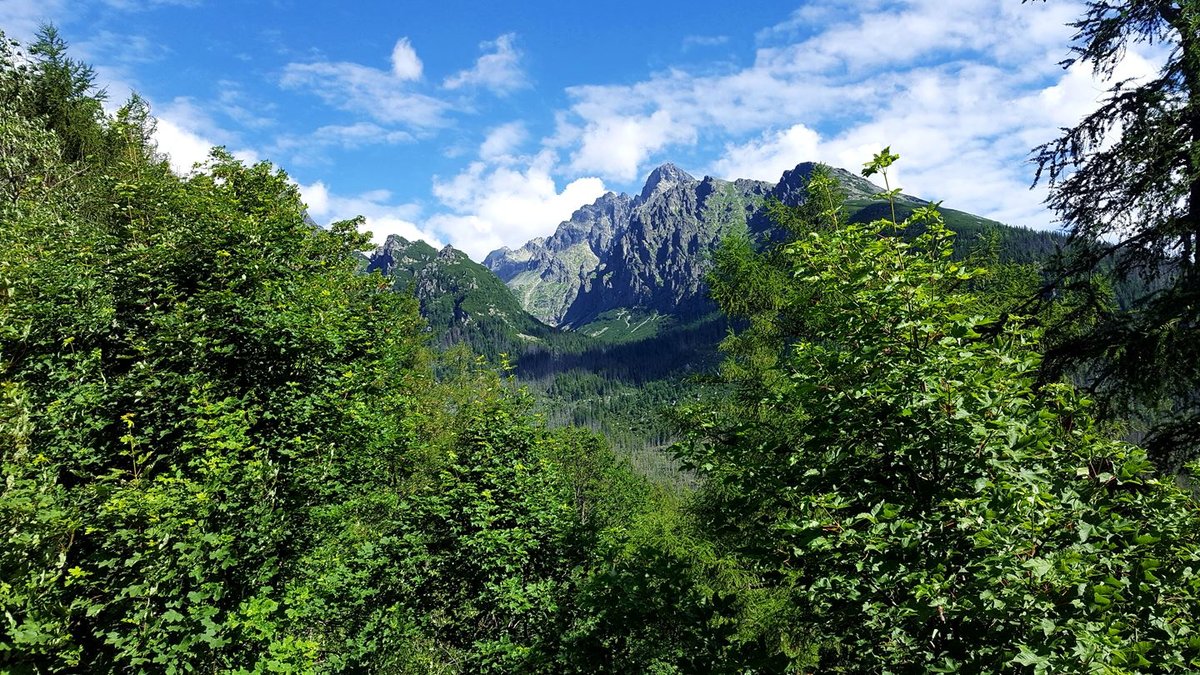 Úton a Tarajka felől a Kis-Tarpataki-völgybe - előtérben a Lomnici-csúcs Forrás: Mozgásvilág.hu