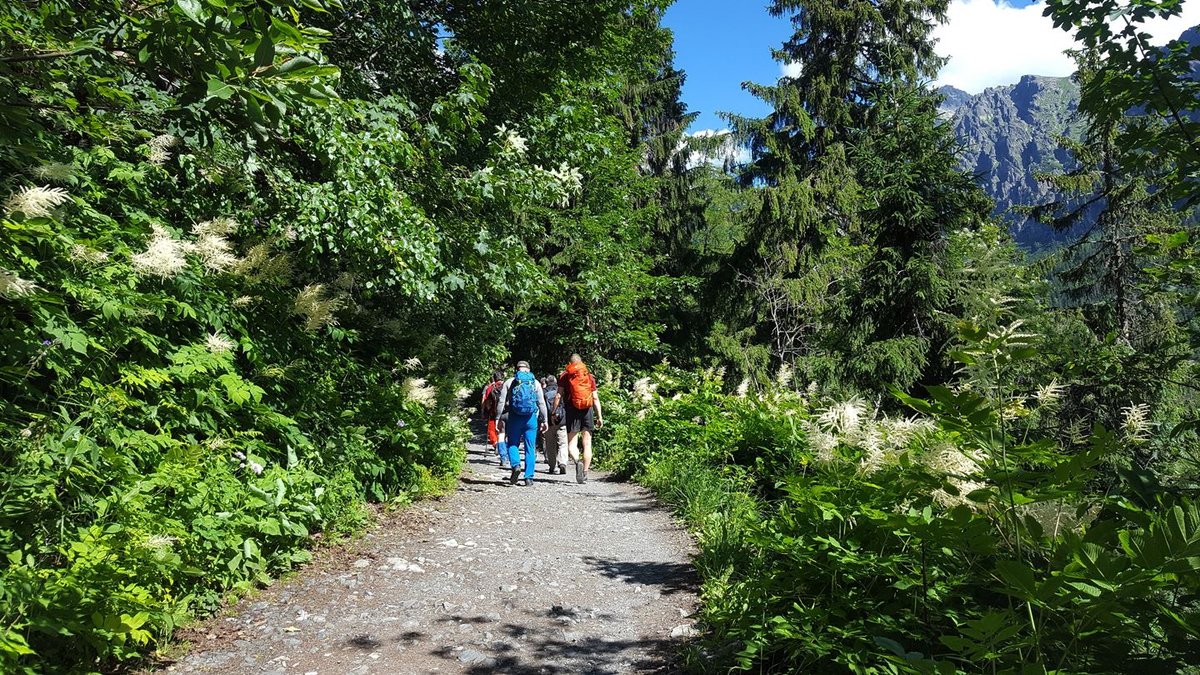 Úton a Tarajka felől a Kis-Tarpataki-völgybe