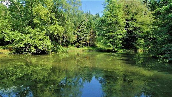 Botanikus kert az erdő mélyén: Az Agostyáni arborétum és Baj kálváriája