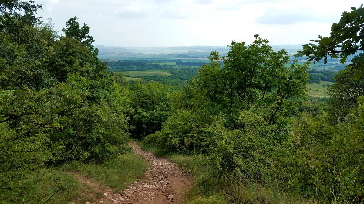 Tovább a zöld jelzésen - egészen a mezőig.