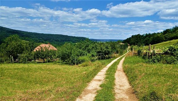 Vulkáni eredetű úszó tőzeglápok, ingólápok nyomában