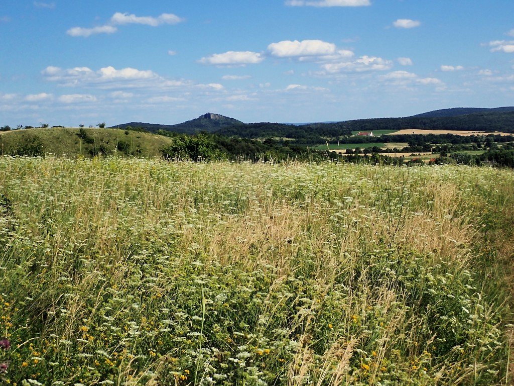 Balatonhenye és a Hegyestű Forrás: Nyáry Tamás