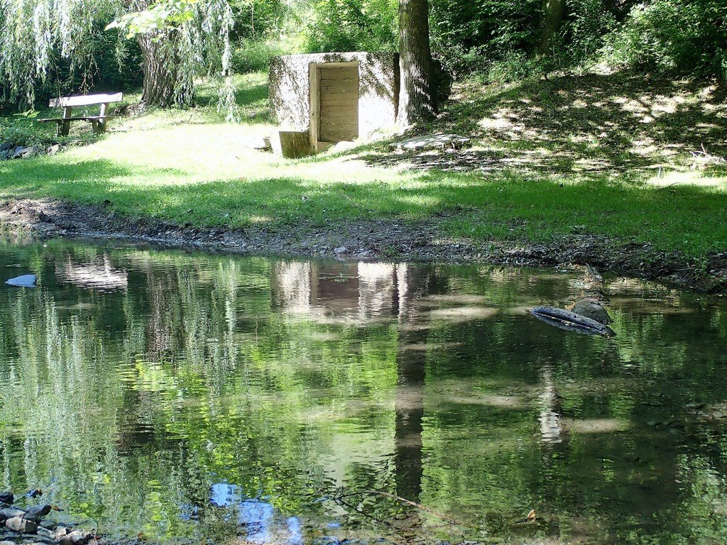 Balatonhenye hűs forrása