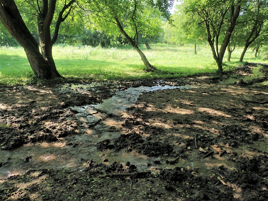 A Malom-völgyi patak Forrás: Nyáry Tamás