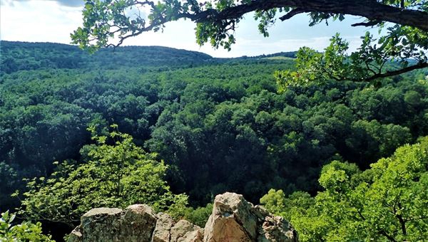 Alsóörs-Csopak: ha kell egy kis elvonulás