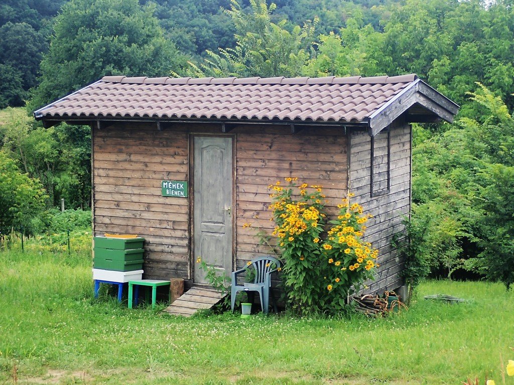 Méhészet az erdő szélén