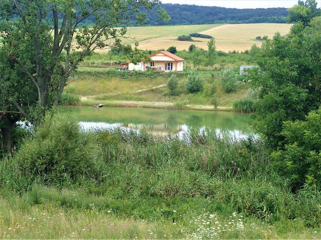 A litéri halastó Forrás: Nyáry Tamás