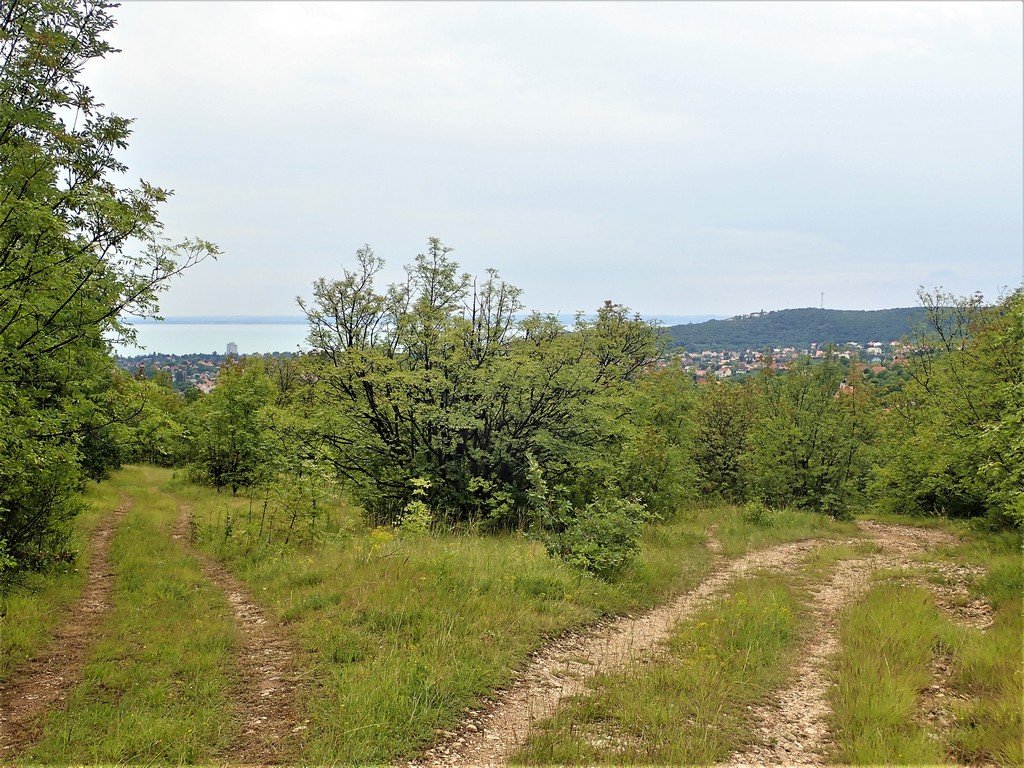 Almádi és a Balaton