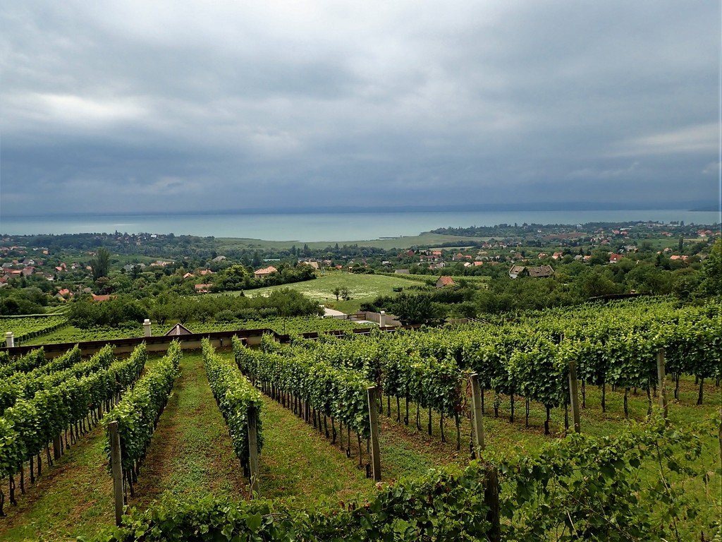Kissé viharos kilátás a Csopaki szőlőkből a Balatonra