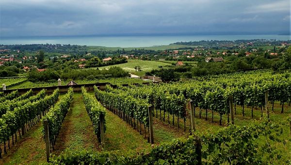 Vízimalmok útján Csopaktól Balatonfüredig