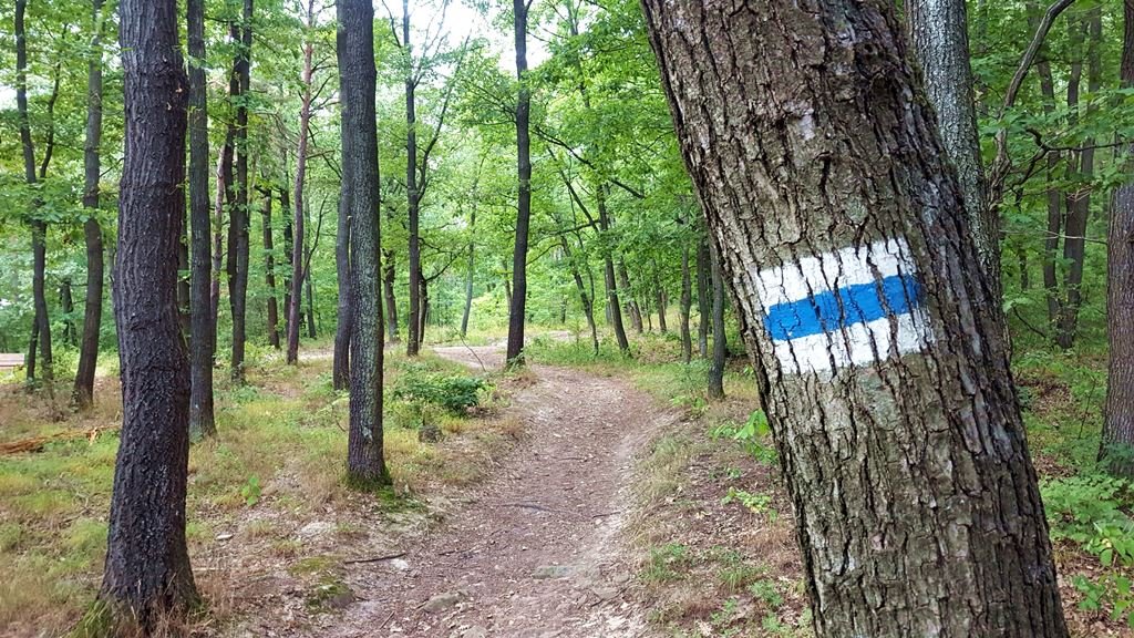 A kék jelzés a kereszteződés után egyből jól látszik