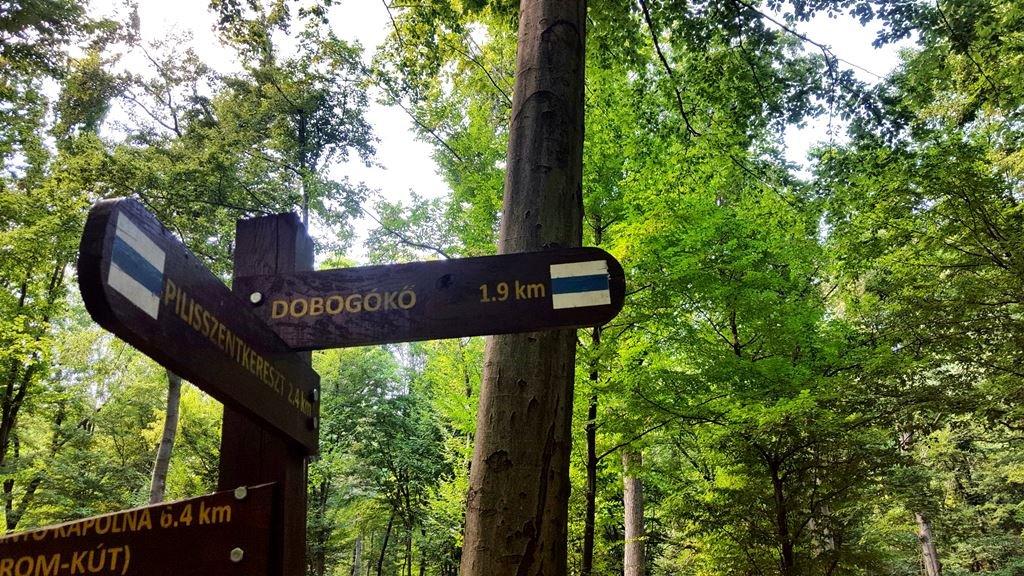 Visszatérve az elágazáshoz Dobogókő felé fordulunk