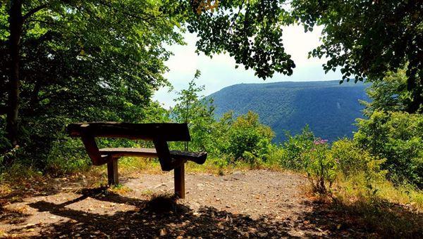 Szép kilátásos pilisi cukitúra Dobogókőre és vissza