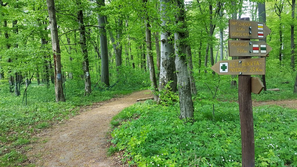 A Rezső-kilátótól visszafordulva kiválasztjuk a zöld kereszt jelzést és ezen haladunk tovább