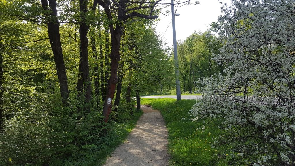 Az út mellett haladunk az első fizetős parkolóig