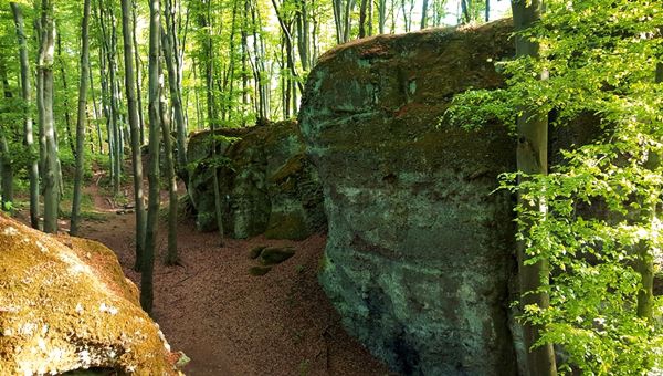 Dobogókő - Zsivány-körút