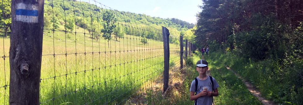 Országos Kéktúra 18/2 Felsőpetény-Becske Túra