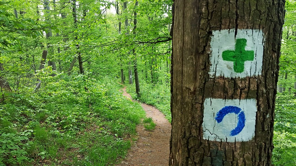 Már meg is találtuk a jelzést, amelyen tovább haladunk