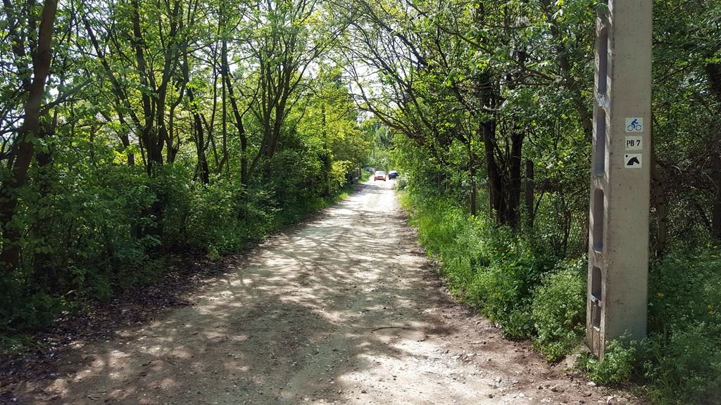 Tovább haladunk a Pilis Bike 7 jelzésen