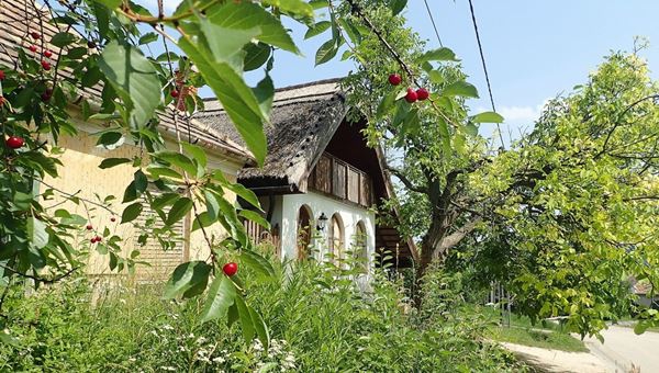 Vértesszőlőstől Vértestolnáig - pedig a Gerecsében vagyunk
