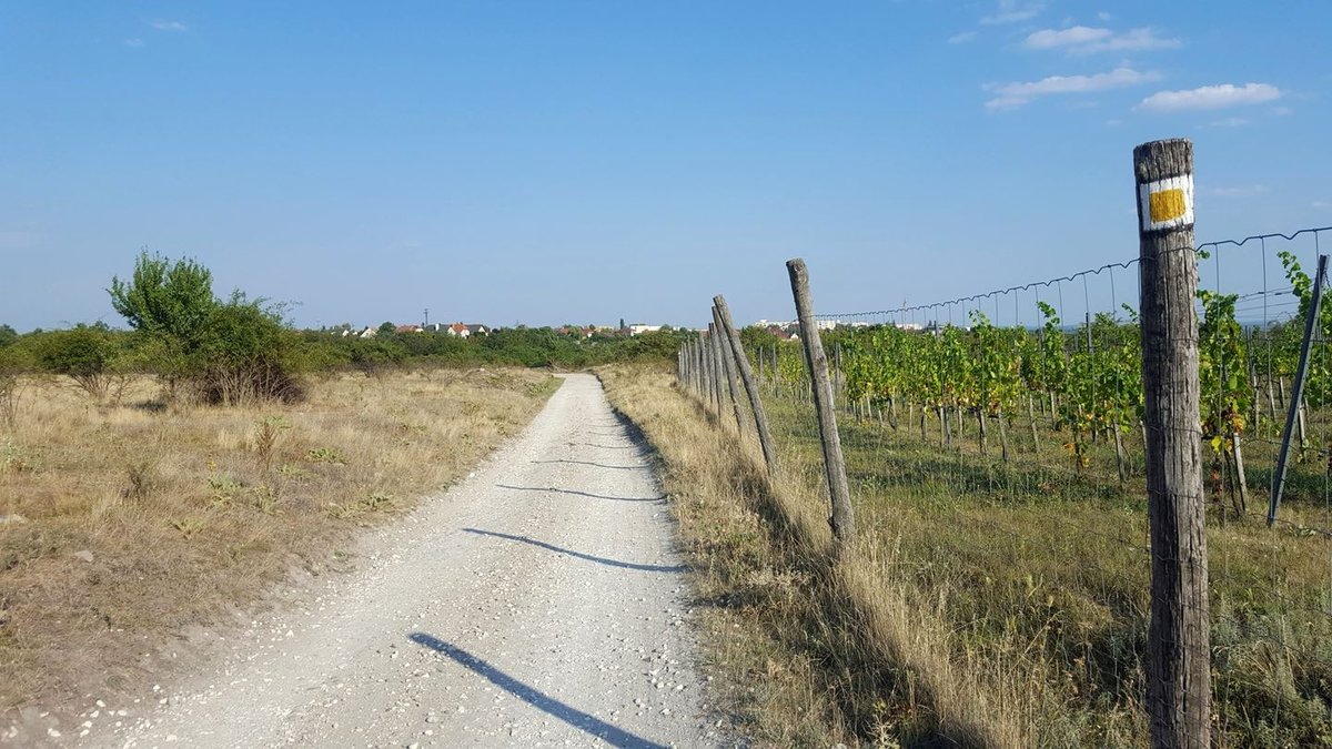 Hamarosan elérjük a parkolót