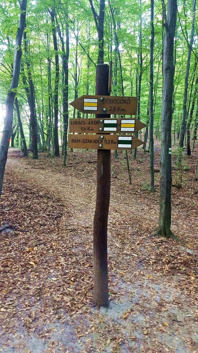 Tovább a sárgán, Dobogókő felé