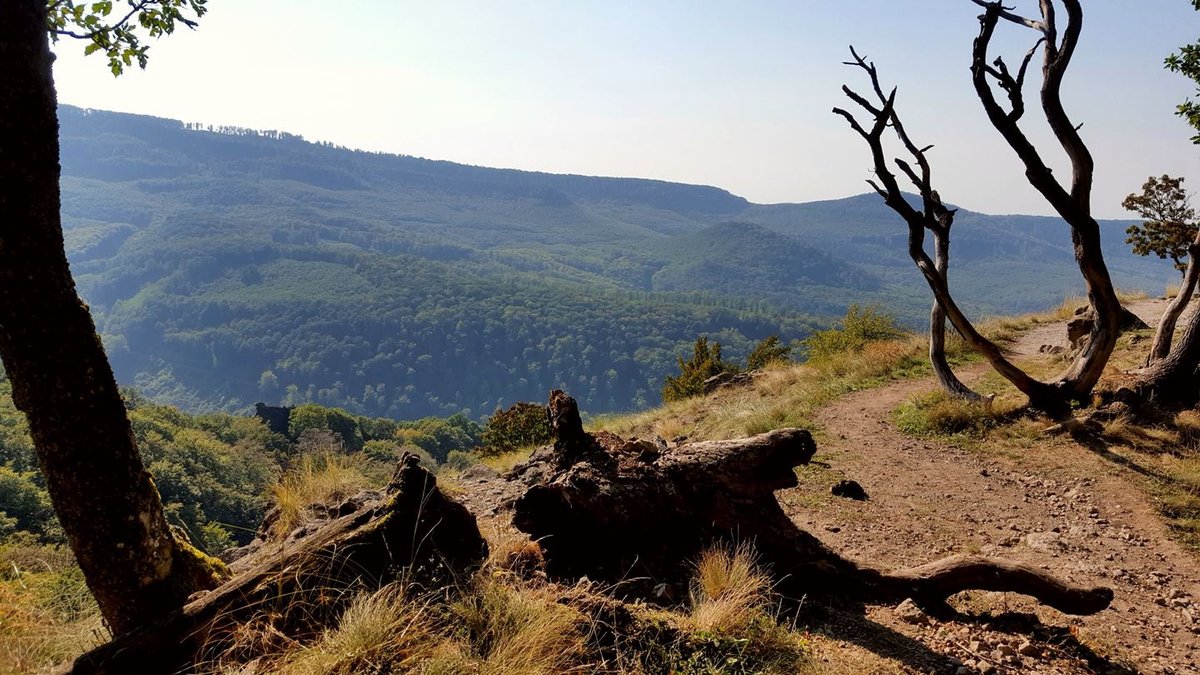 Kitárul a panoráma