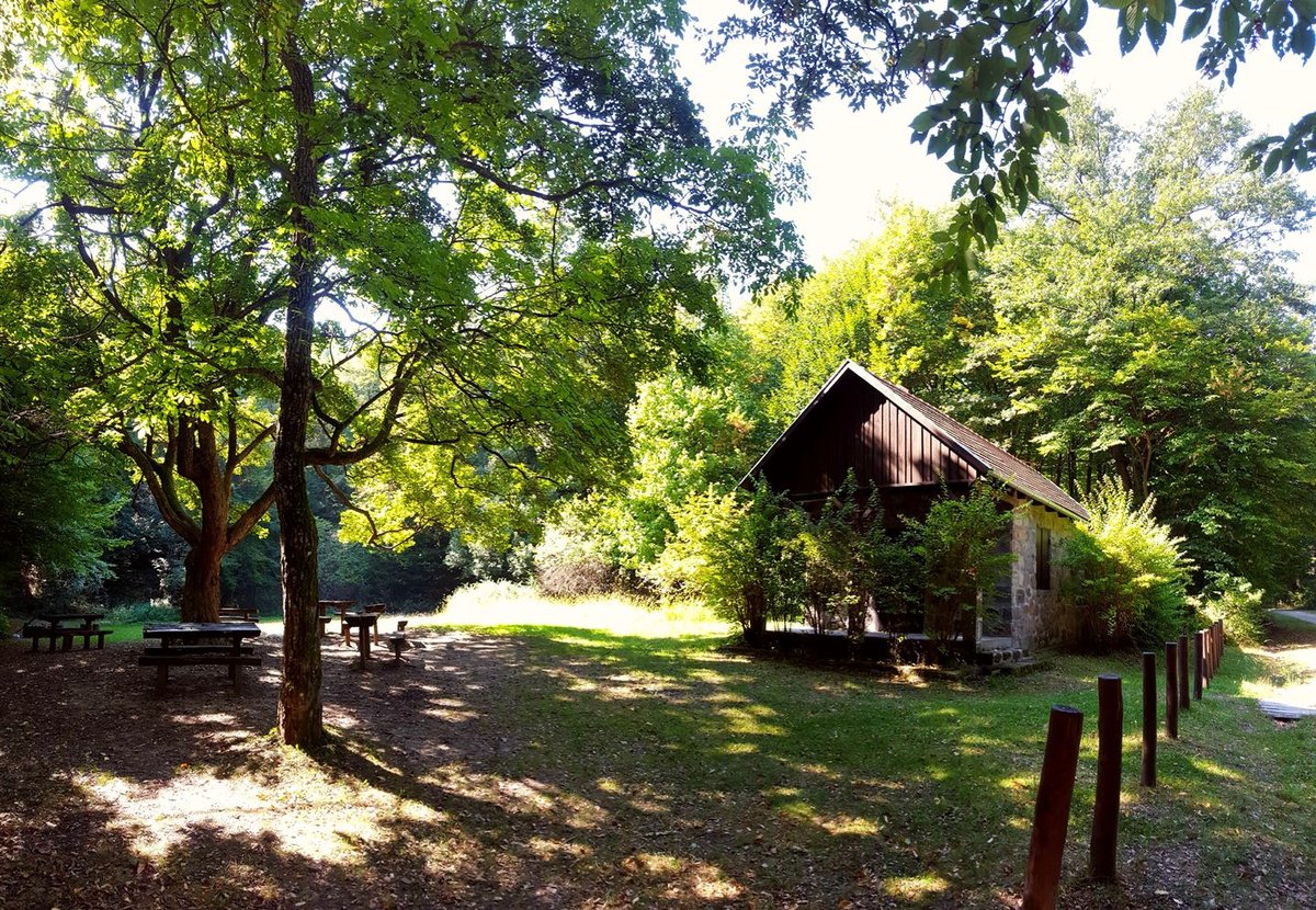 Kulcsosház az erdő közepén