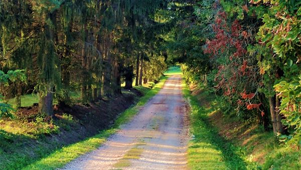 Egy kis vadon járás Őriszentpéter és Ispánk között