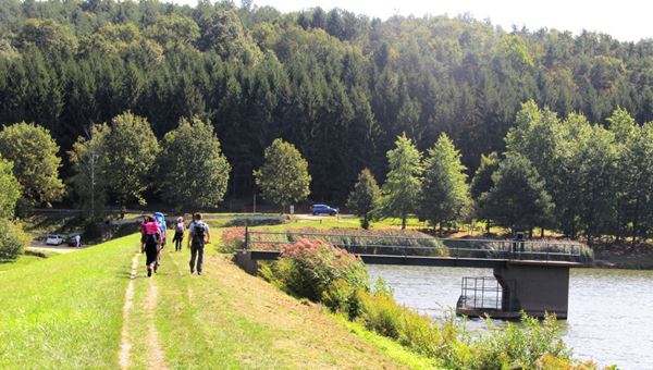 Jó Pásztor-Kápolna és Hársas-tó túra