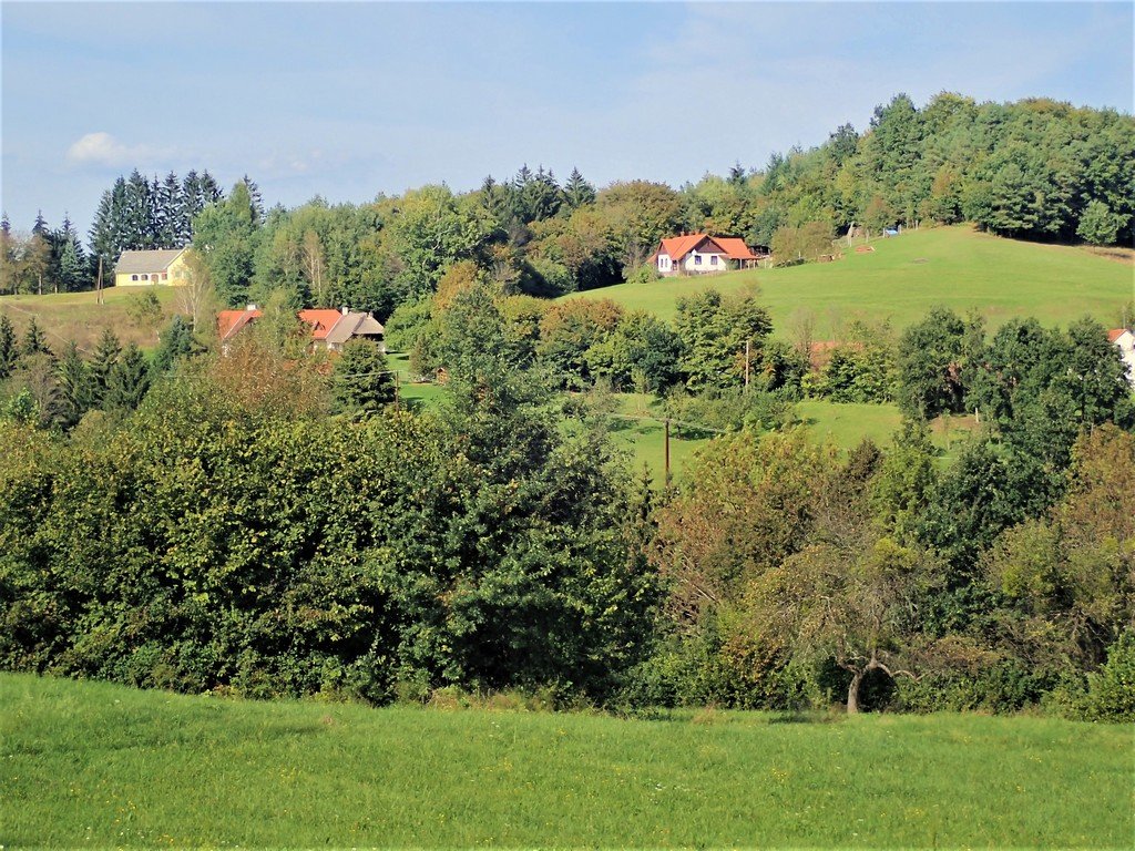 A Ritkaházi domb oldala