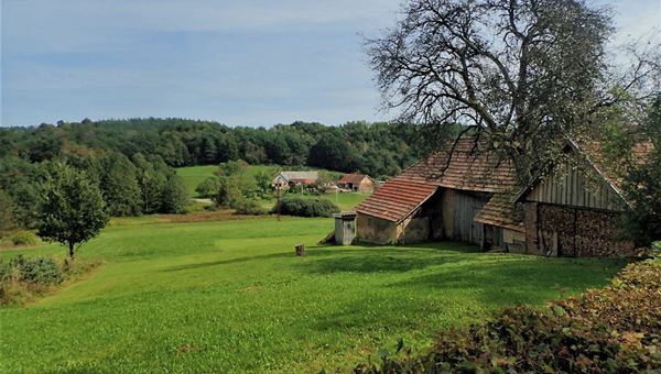 Orfalu Rókagomba tanösvény