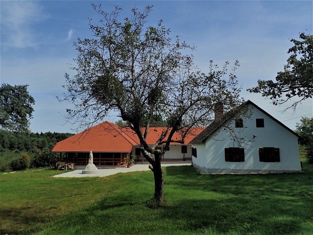 Farkasfa Forrás: Nyáry Tamás