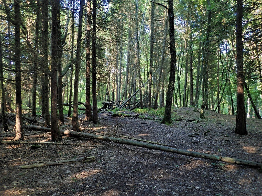 Kis kitérő a kék jelzésen