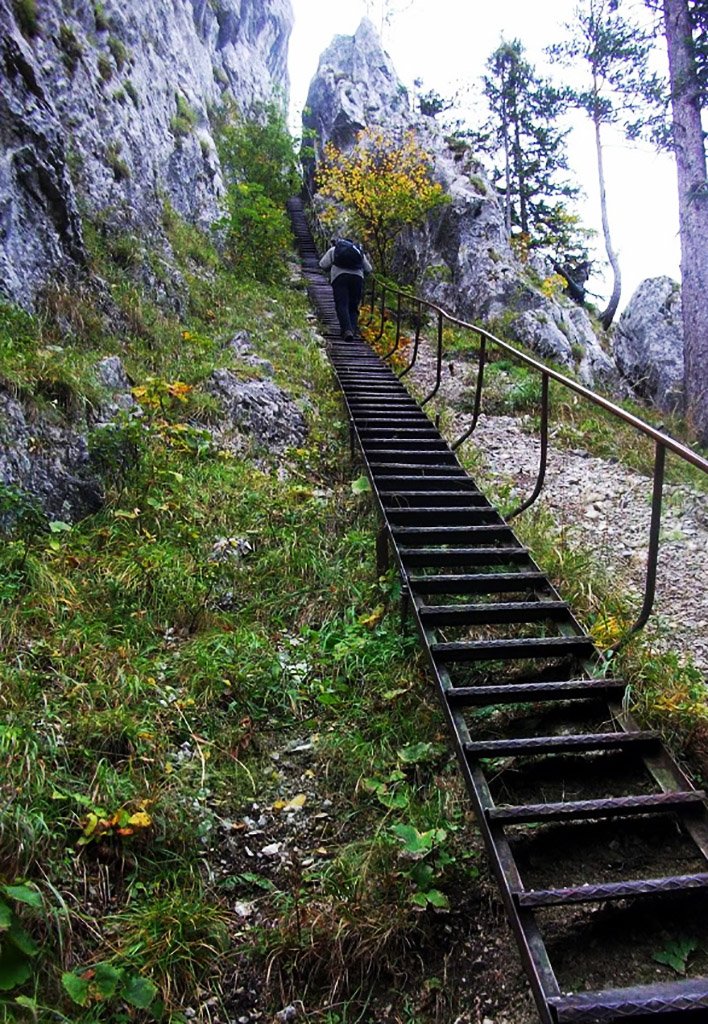 A Schönbrunner-lépcső 40 méter hosszú Forrás: Nyáry Tamás