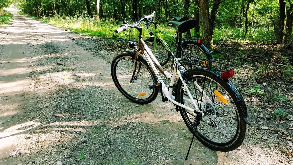 Kölcsönözhető kerékpár Forrás: www.mozgasvilag.hu