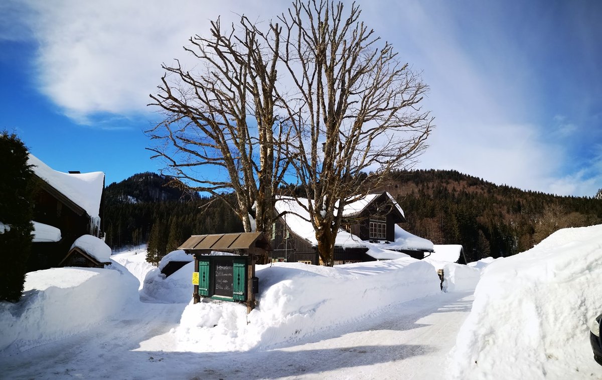 A házak szinte eltűnnek a nagy hóban