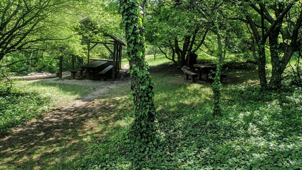 Az erdészház melletti esőbeálló és pihenő Forrás: Nyáry Tamás